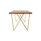 DYLAN BRASS MEDIUM ACACIA TABLE